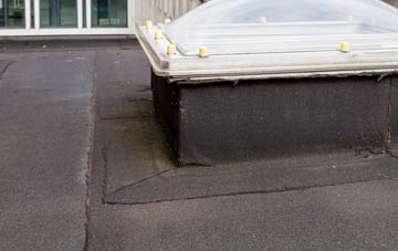 disadvantages of Lyndhurst flat roofs